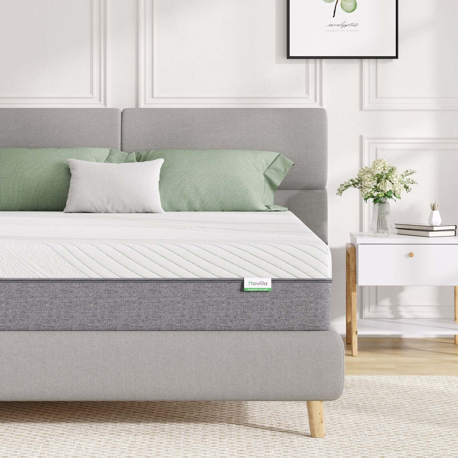 Novilla Delight Memory Foam Mattress