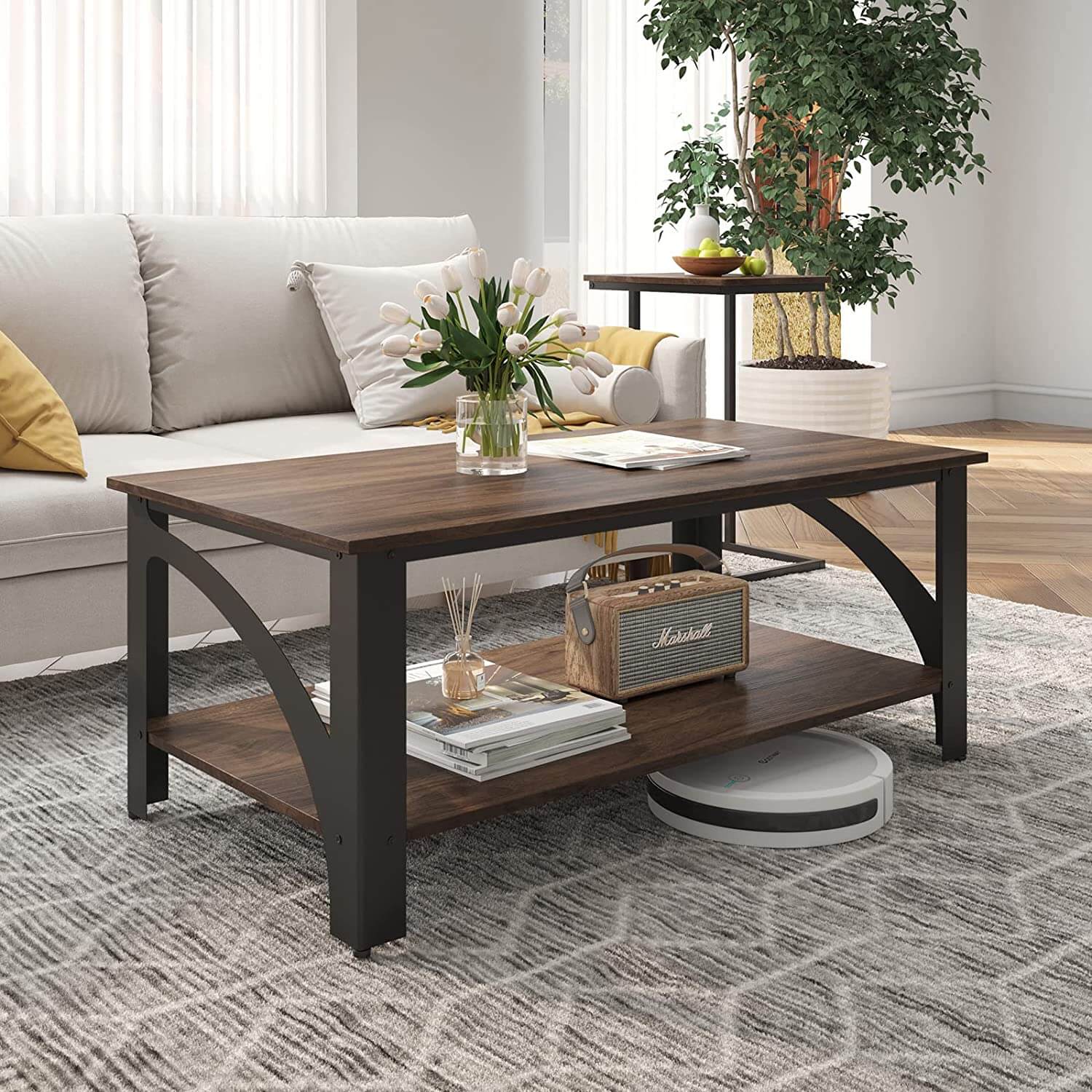 Muse Double Layered Coffee Table